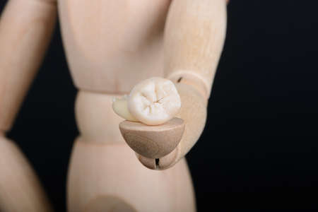 Human wooden figure holds in hand extracted human tooth on a black background.の写真素材