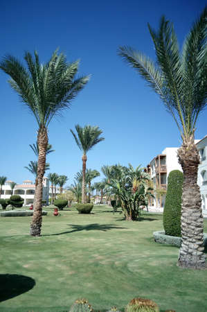 Hurghada, Egypt - August 15, 2015: Luxurious 5-star hotel Dana Beach Resort in Hurghada is one of the Pickalbatros. The magnificent resort complex built on the beautiful Red Sea coast.のeditorial素材