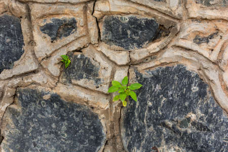 Background of stone wall texture.