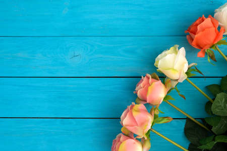 Roses on a blue wooden backgroundの写真素材