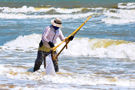 Vietnamese woman gathers shellfish on the seashoreのeditorial素材