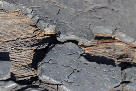 Burst old tire