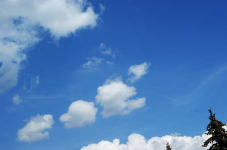 Natural sun flare with blue clouds sky and green leaves, background for a booklet with a tree branch on a background of the sunny skyの写真素材