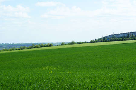 Middle aged white woman in medieval dress walks in the steppe with thunder sky summer landscape
