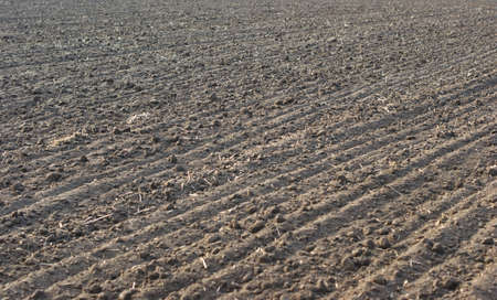 Black soil plowed field. Texture of the earth. Rustic background near the city