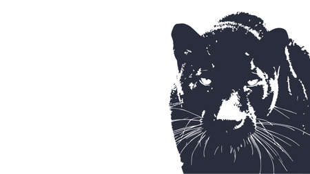 Panther walking from dark. vector  design, on white background image, isolated