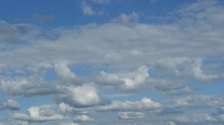 Autumn sky with blue flowers, very gray clouds and preparing snowの写真素材