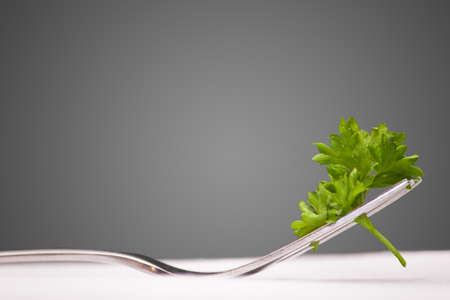 Persley on fork with grey backgroundの写真素材