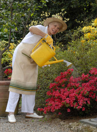 Elderly woman watering the plantsの写真素材