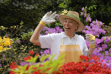 Elderly woman gardening の写真素材