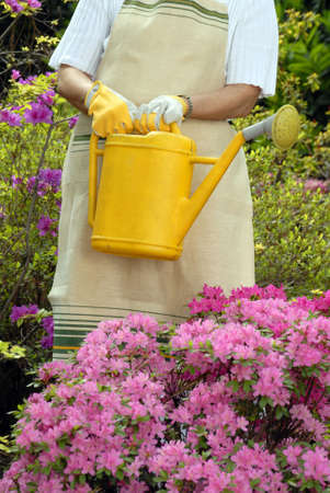 Elderly woman holding a watering canの写真素材