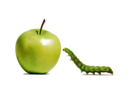 Green worm crawling towards a green apple on white backgroundの写真素材