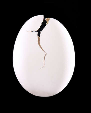 Cracked egg shell on black background