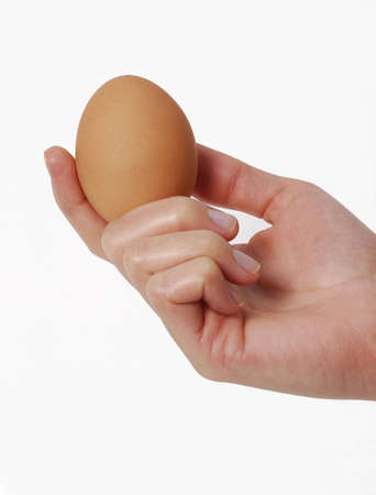 Human hand holding an egg 