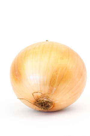 brown onion on white background isolated の写真素材