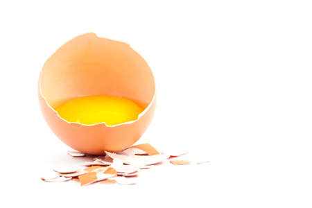 egg yolk egg shell