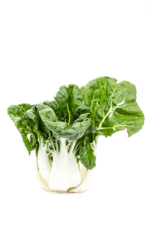 Bok choyの写真素材