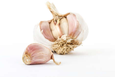 garlic