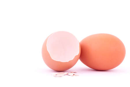 broken egg shell and eggの写真素材