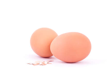 two eggsの写真素材