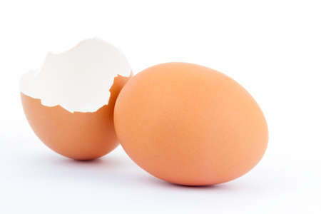 egg shell