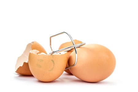 eggs