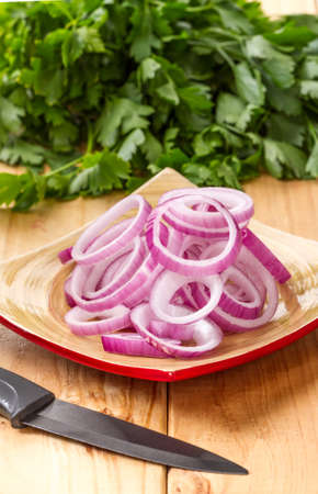 onion ringsの写真素材