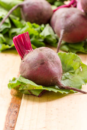 beetrootの写真素材