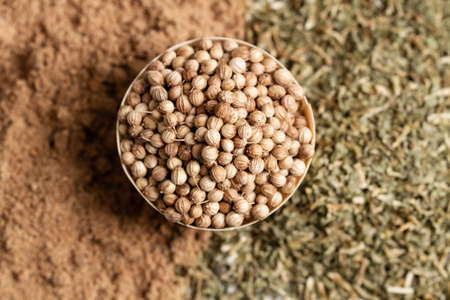 coriander seeds, dry coriander and ground corianderの写真素材