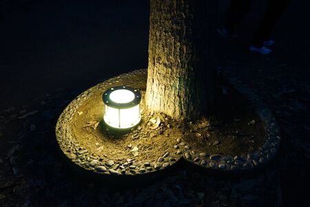 a heartの写真素材