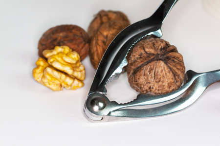 Nuts, kernels, nutcracker on white の写真素材