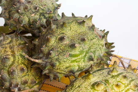 Kiwani or cucumber Kenyaの写真素材