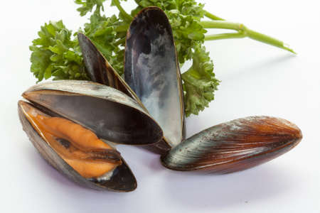 Blue mussles closed, cooked and placed on white background