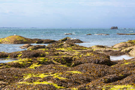 Protected Point Mousterlin Brittany Site - Franceの写真素材