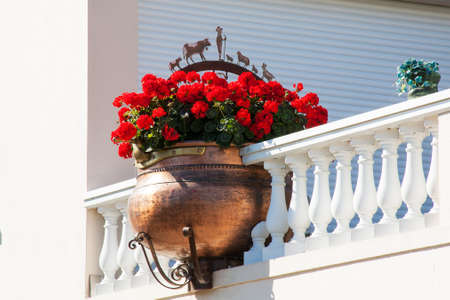 Potted flowers on balconyの写真素材