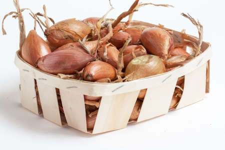 Shallots in a crate on a white backgroundの写真素材