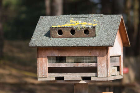 Bird nestの写真素材