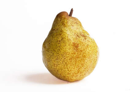 Comice pear - Pyrus communis - on white backgroundの写真素材