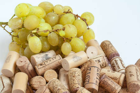 On the wine routeの写真素材