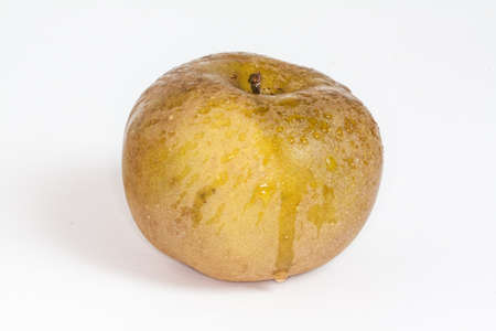 Apple Canada - Malus pumila - isolated on white backgroundの写真素材