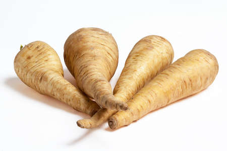 Fresh parsnips on white backgroundの写真素材