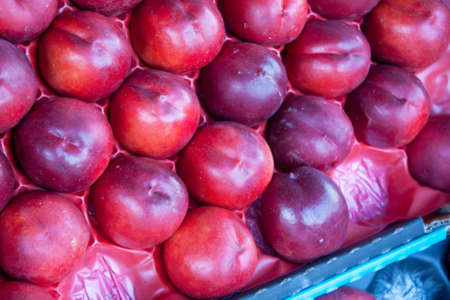 Red plums crateの写真素材
