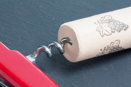 Corkscrew in a Swiss knife on slate background