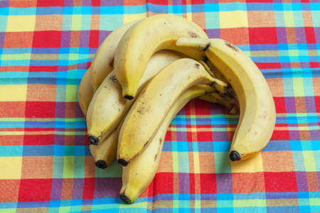 Bananas on background fabric madras Caribbeanの写真素材