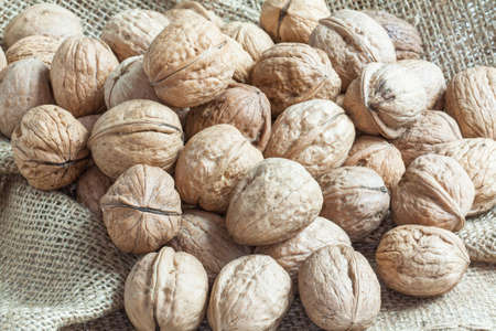 Loose nuts on burlapの写真素材