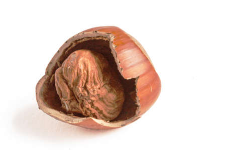 Nutcracker on white backgroundの写真素材