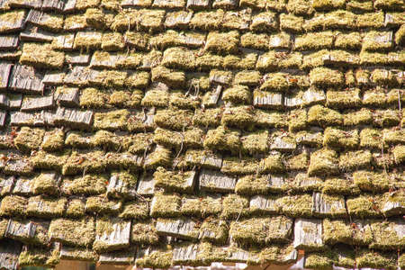 Cover timber tile mossyの写真素材