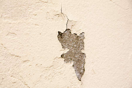 Wall painting on quail