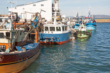 Trawlers in port Rosmeur, Douarnenez, Finistre, Brittanyの写真素材