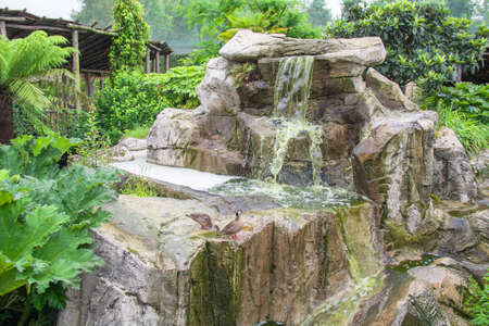 Waterfall in garden decorativeの写真素材